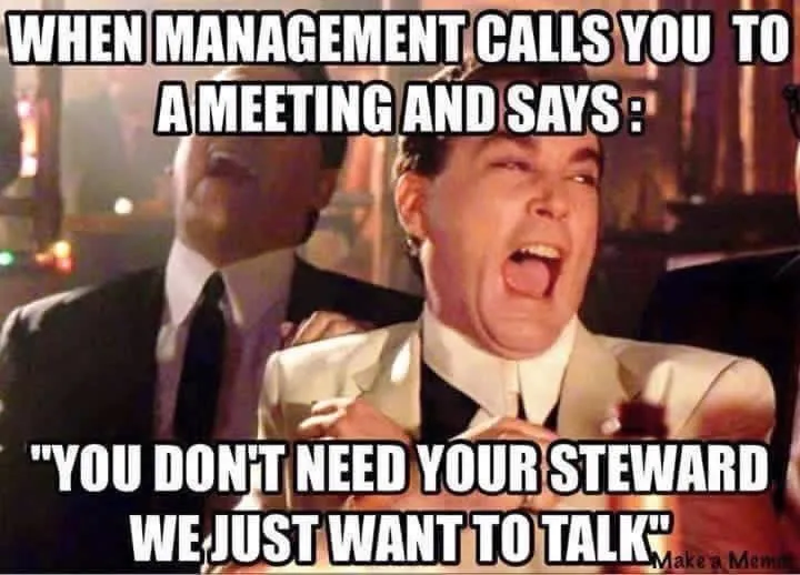 steward1.jpg